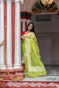 Organza Silk Saree with Embroidery work (Fluorescent Green) image 0